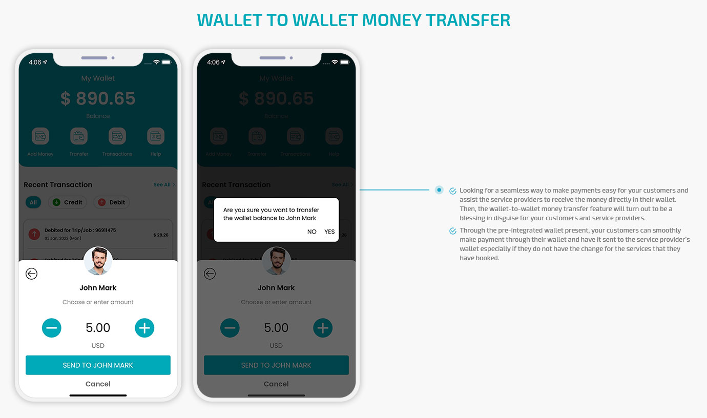 Wallet to Wallet Money Transfer